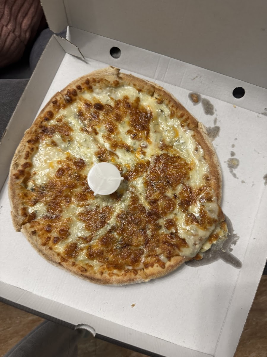 Pizzbit-3