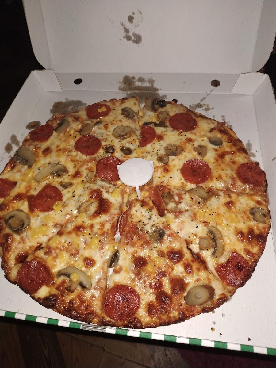 Pizzbit-9