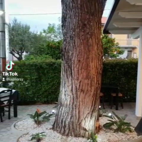 Pizzeria Griglieria Rosticceria 'da Francesca'-2