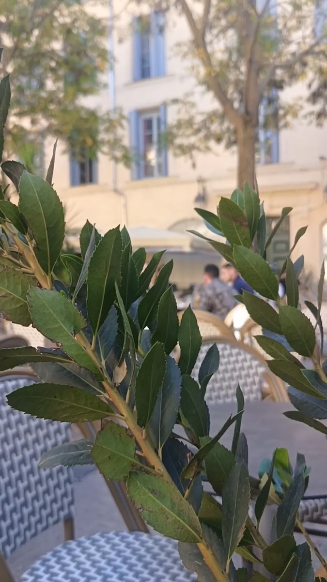 Pizzeria La Terrasse-2