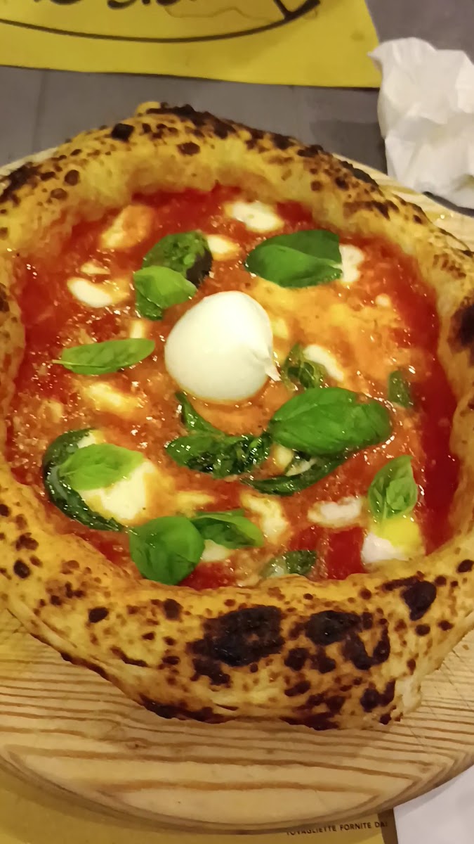 Pizzeria Terra Mia-2