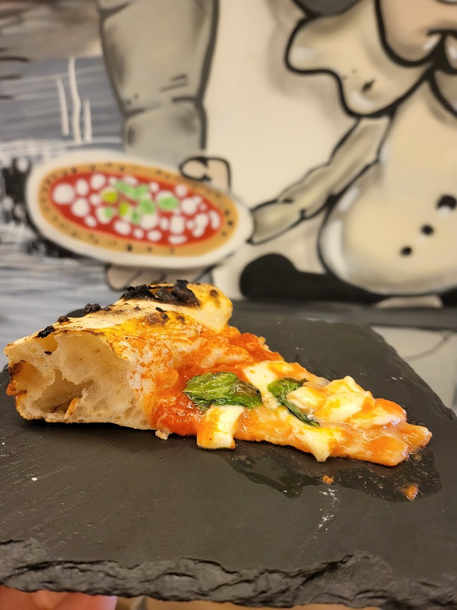 Pizzeria Terra Mia-3