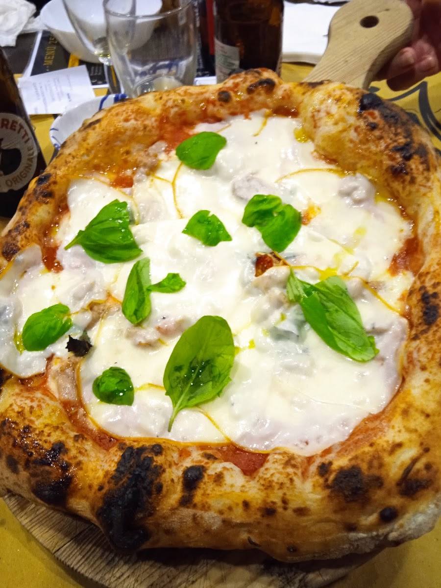 Pizzeria Terra Mia-5
