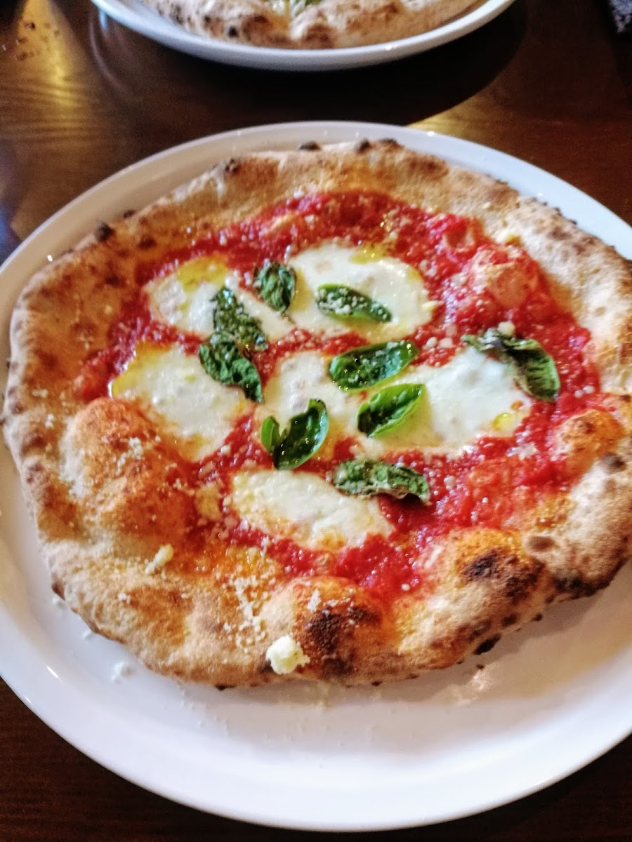 Pizzeria Terreno-5