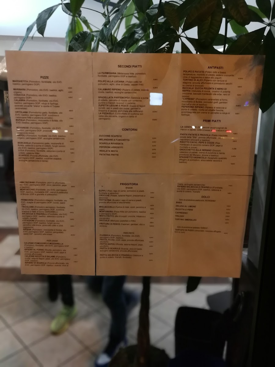 Menu Pizzeria Vasinicola-5