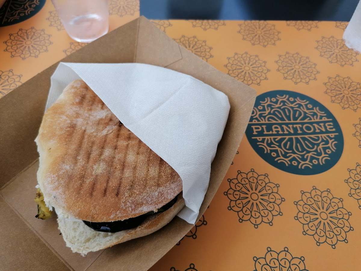 Plantone-8