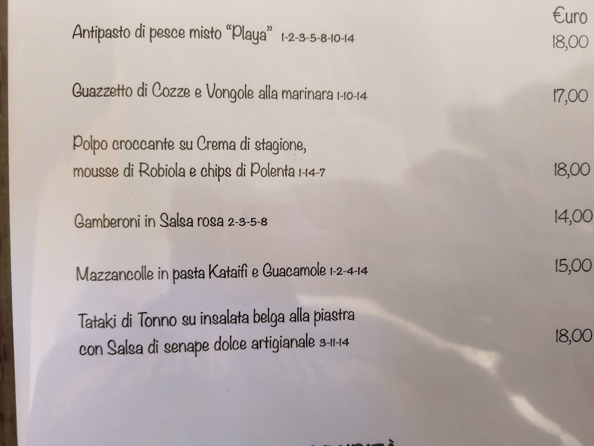 Menu Playa Del Medio-5