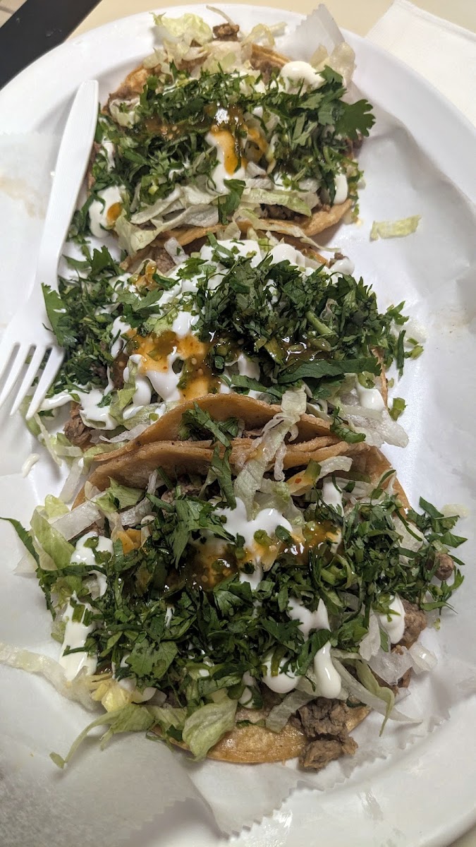 Poblano Burritos-9