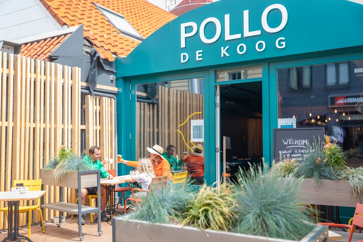 Pollo
