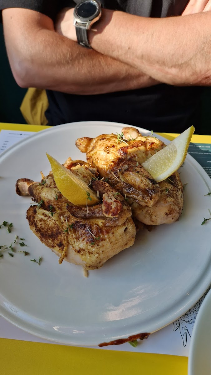 Pollo-10