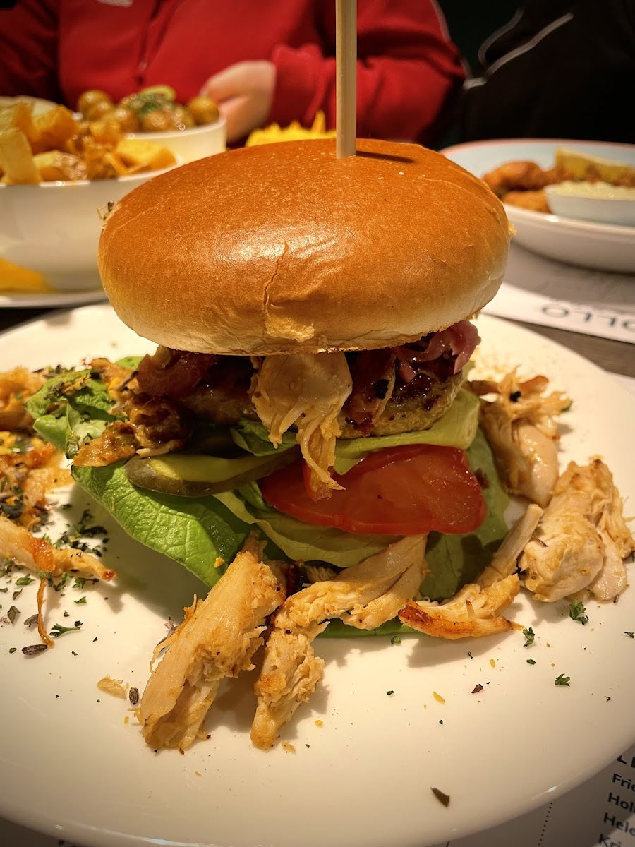 Pollo-6