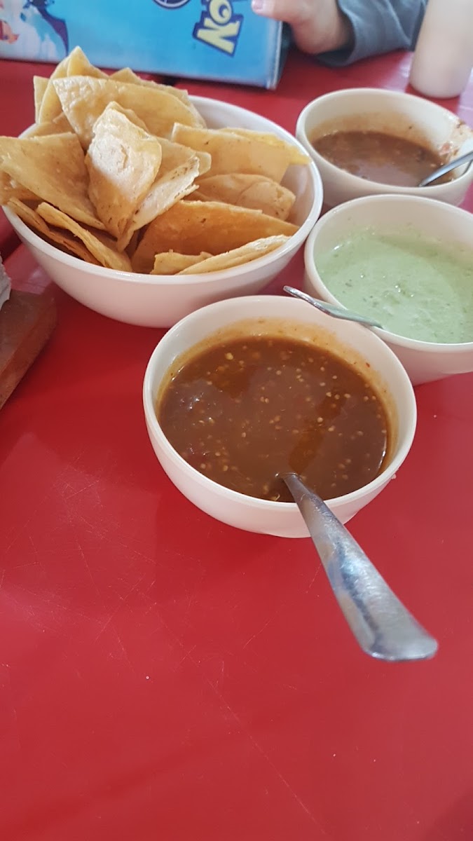 Pollos San Javier-8