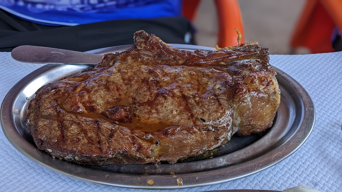 Poulets Pedra Morais-9