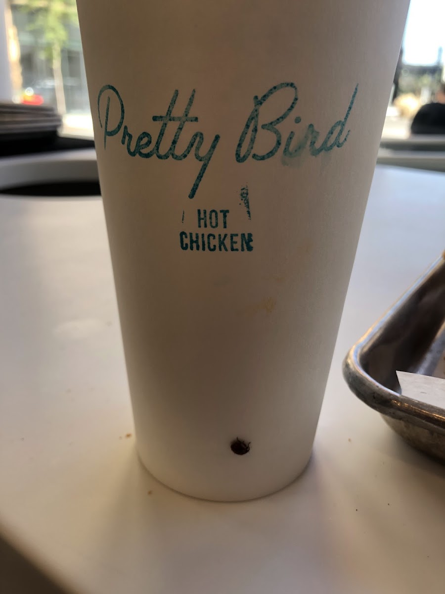 Pretty Bird Hot Chicken, Downtown-9