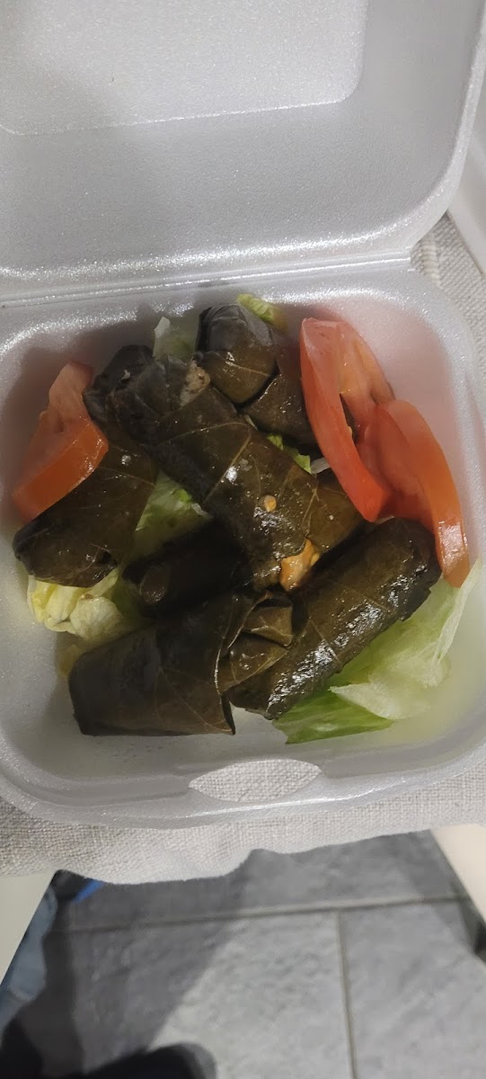 Princess Pita Mediterranean Restaurant & Catering-10
