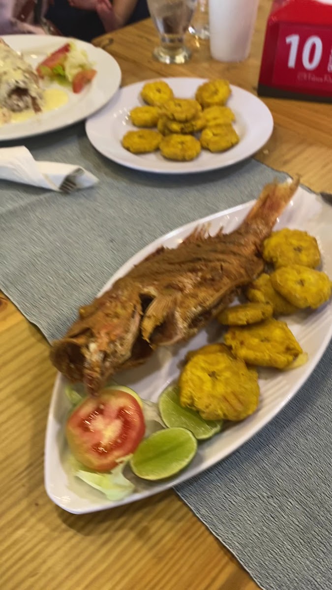 Puerco Rosado-2