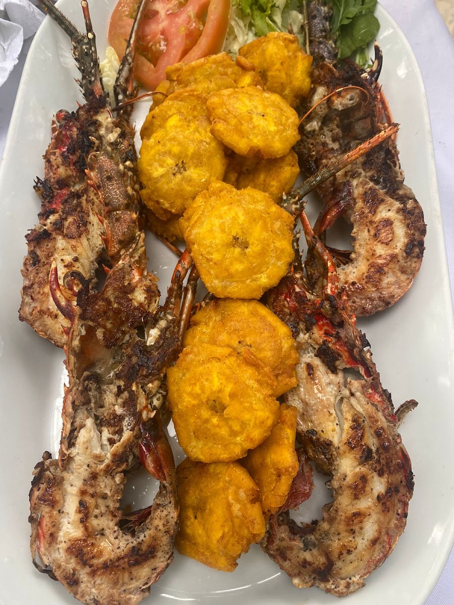 Puerco Rosado-3