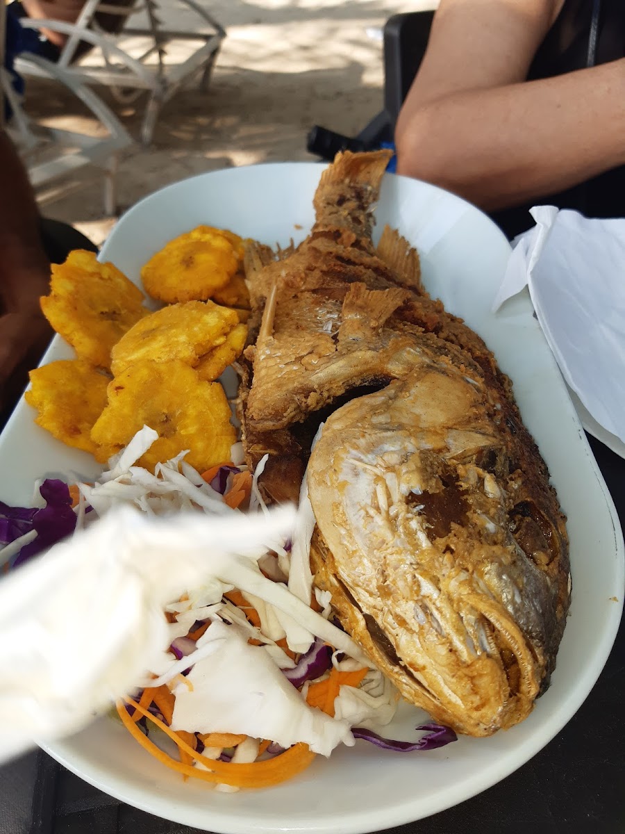 Puerco Rosado-5