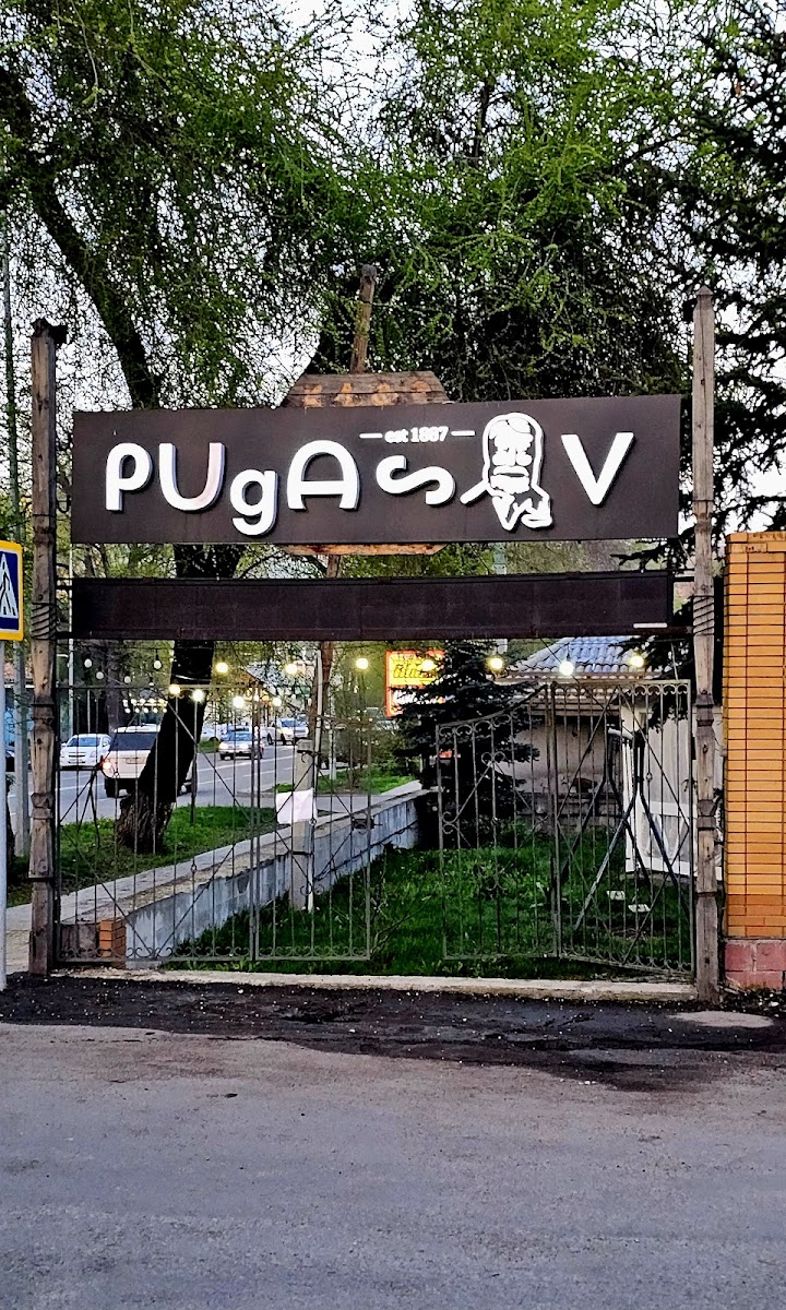 Pugasov