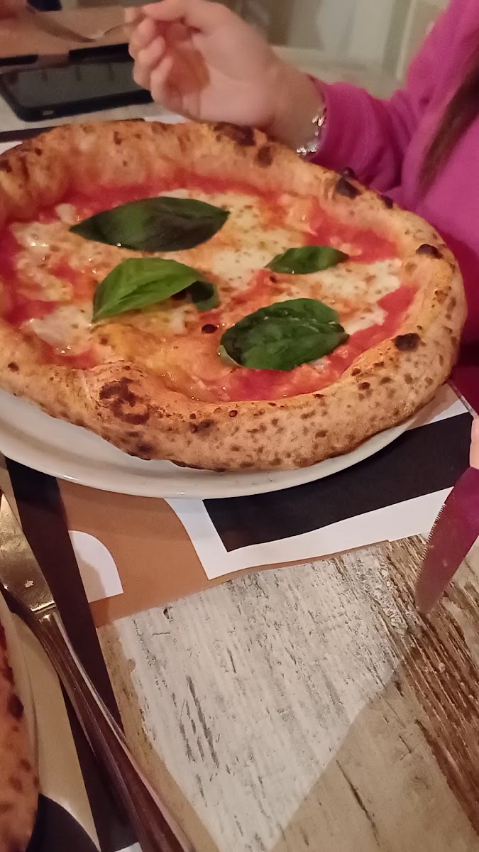 Pupillo Pura Pizza-2