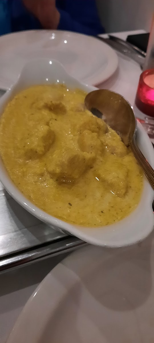 Purbani Netley-10