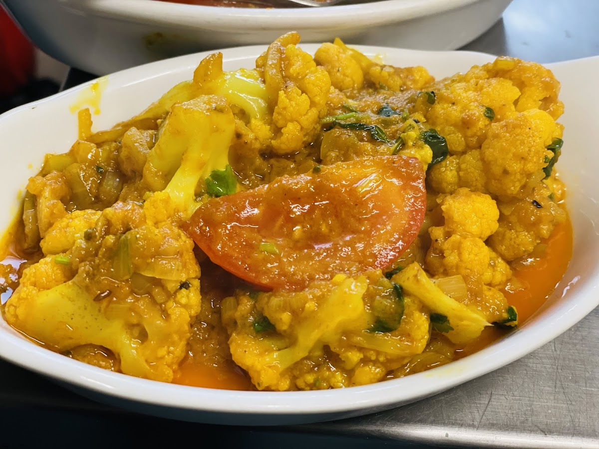 Purbani Netley-2