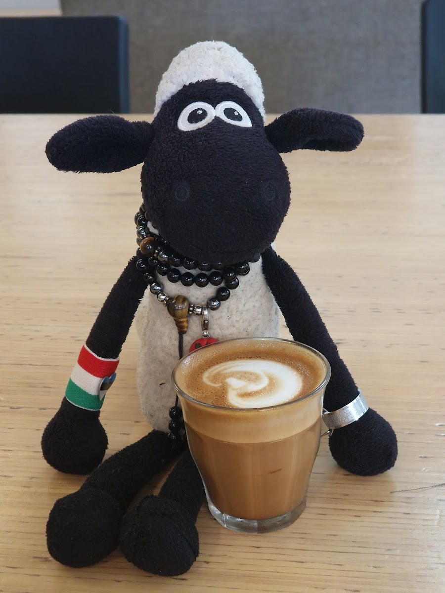 Raglan Roast Coffee-7