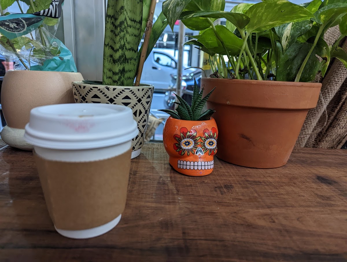 Ramini Espresso & Cafe-6
