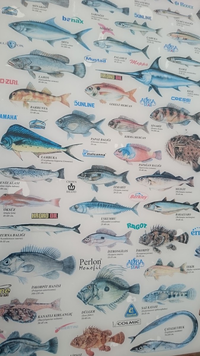 Menu Reis Balık Lokantası-4