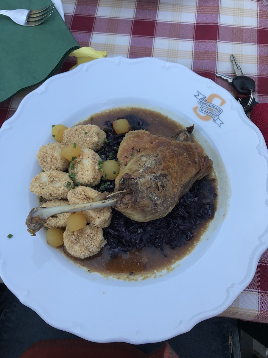 Restaurace A Penzion U Sapíků-7