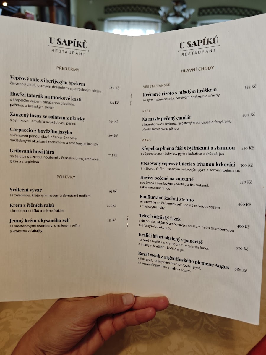 Menu Restaurace A Penzion U Sapíků-1