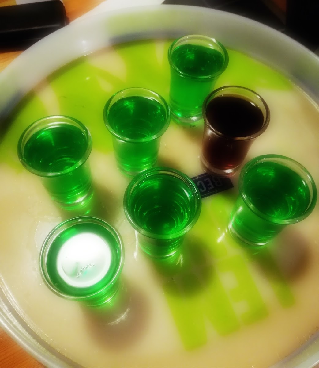 Restaurace Kovárna-6