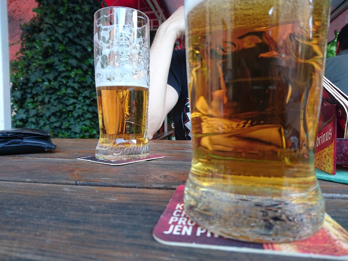 Restaurace U Holanů-5