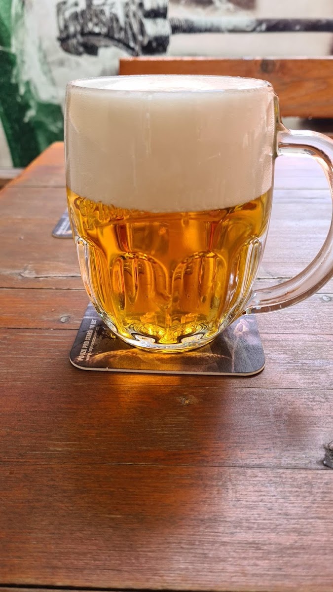 Restaurace U Krále Jiřího-7