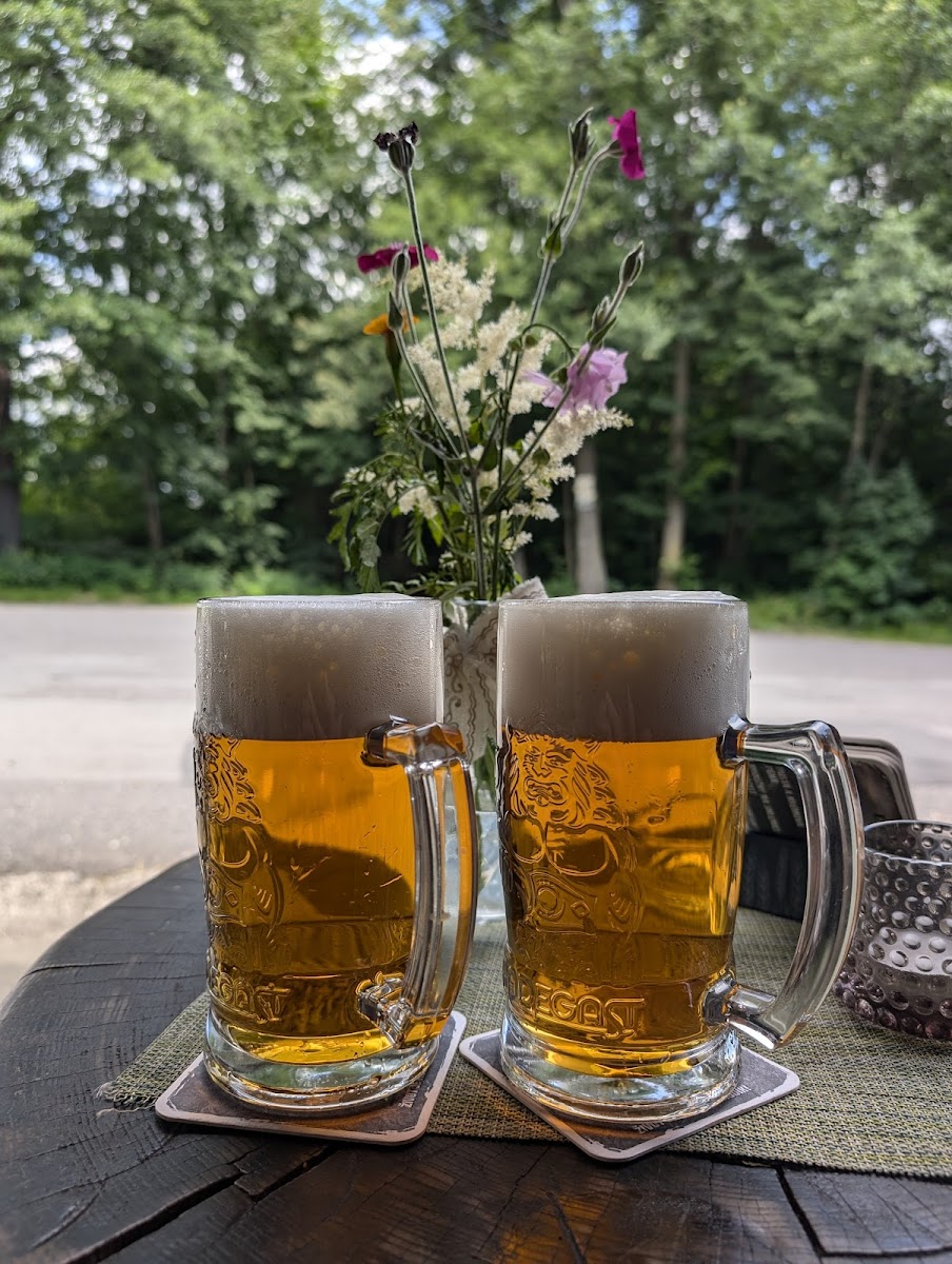Restaurace U Pařezu-5