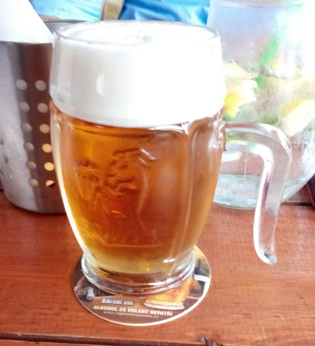 Restaurace Vlčí Jámy-8