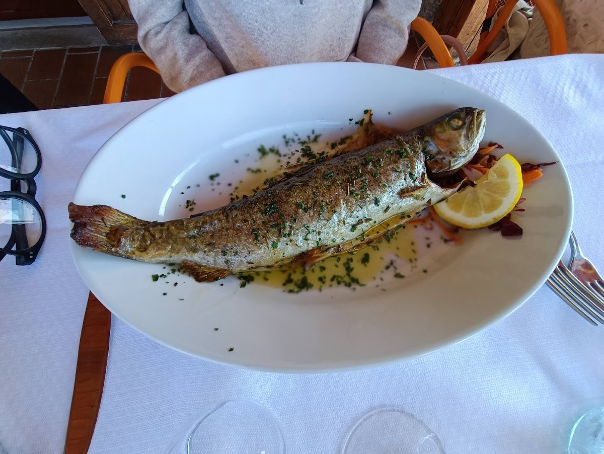 Restaurant Al Porcello Felice-5