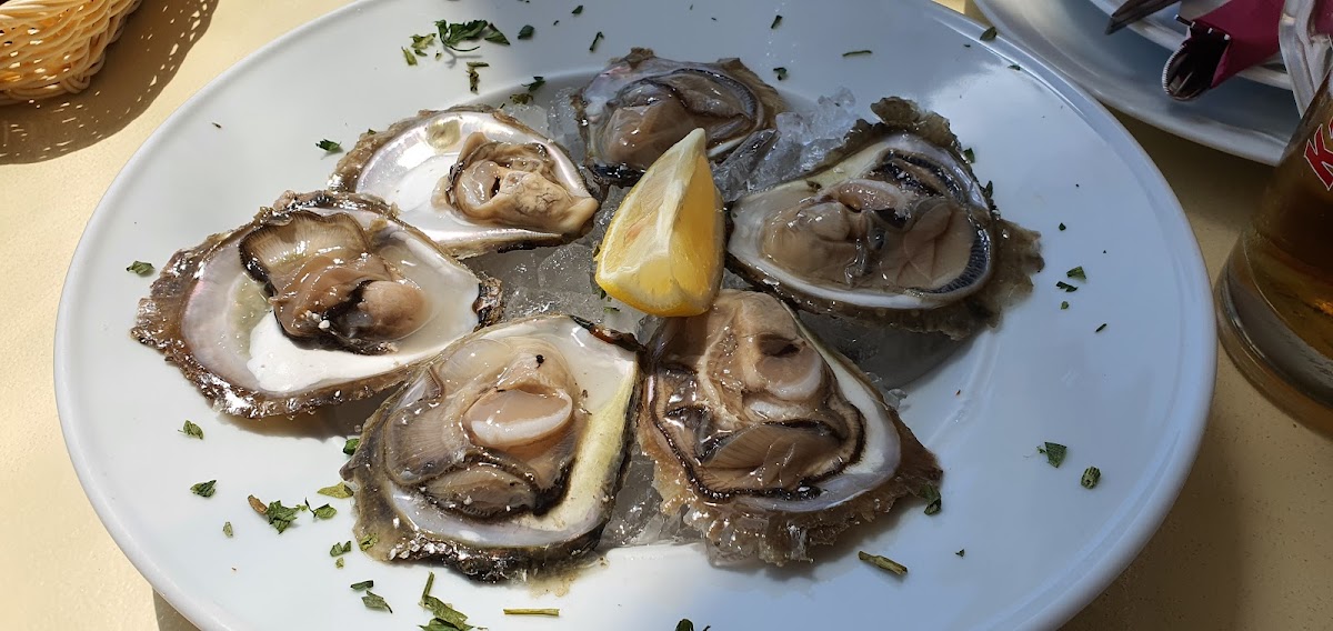 Restaurant Amfora-5