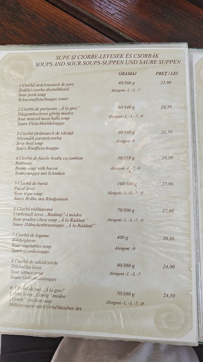Menu Restaurant Andreneasa-2