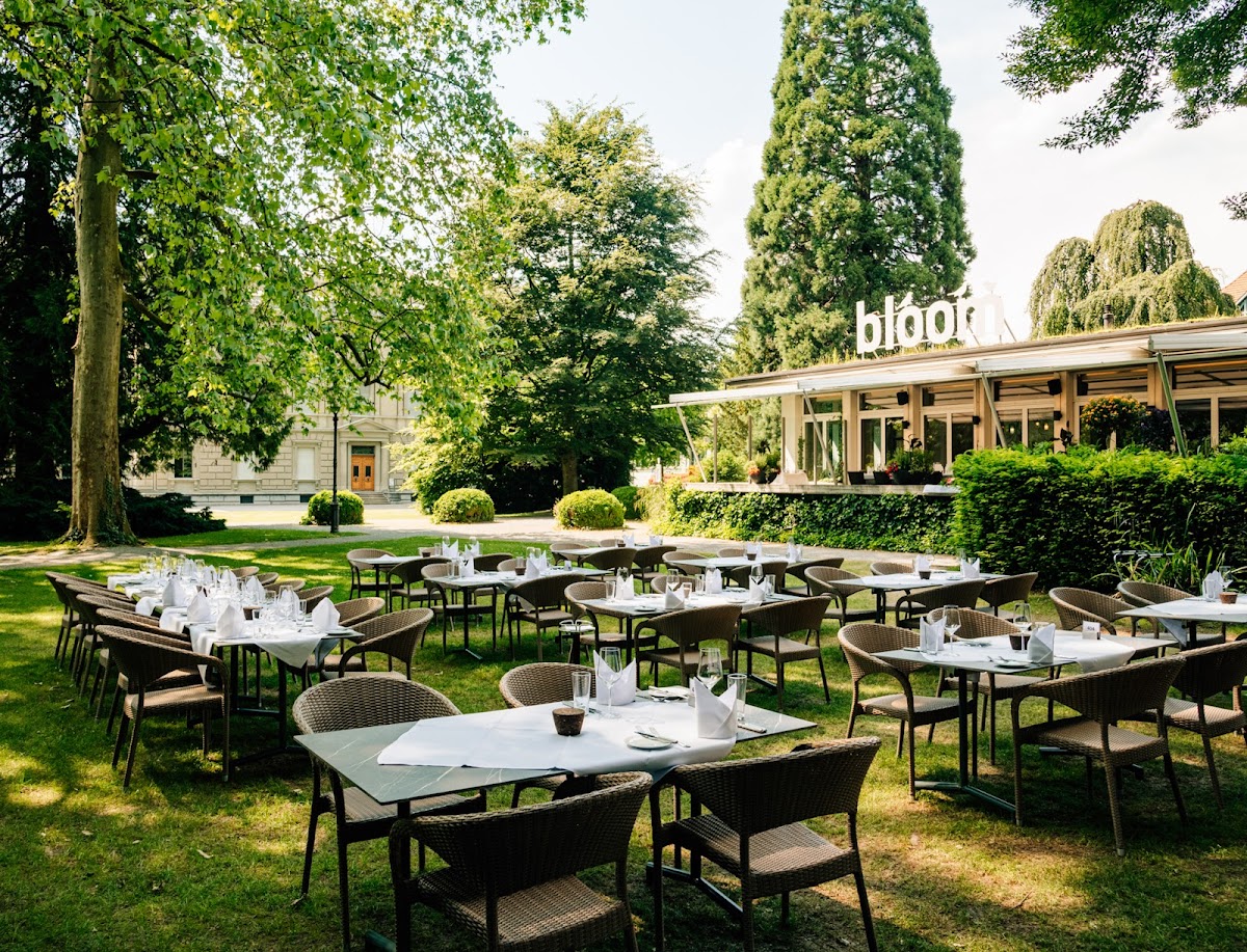 Restaurant / Bar Bloom