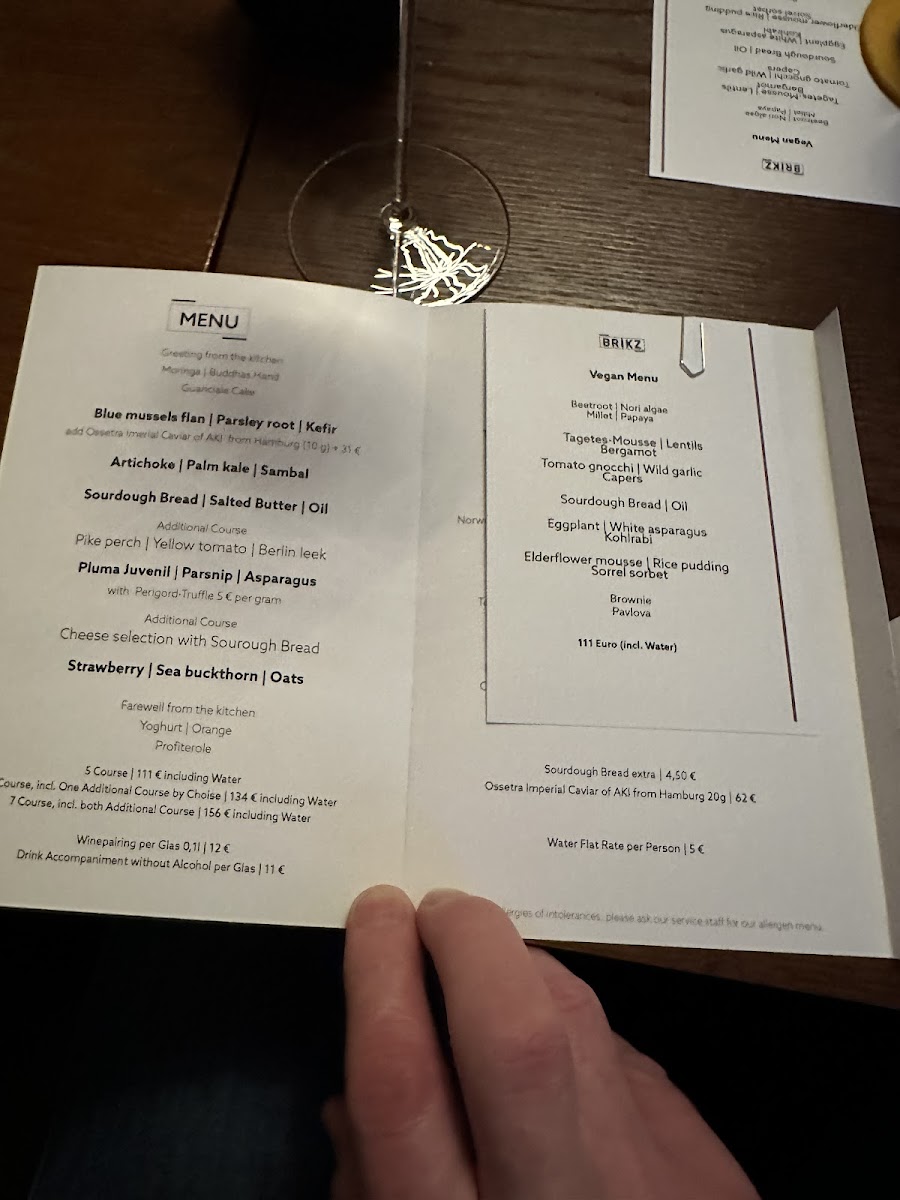 Menu Restaurant Brikz-8