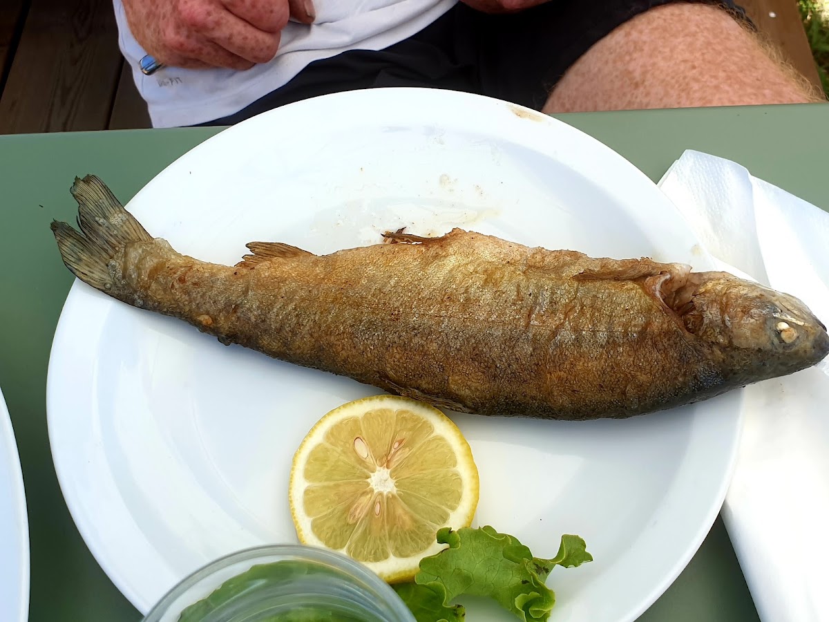 Restaurant Du Lac Sauvage-5