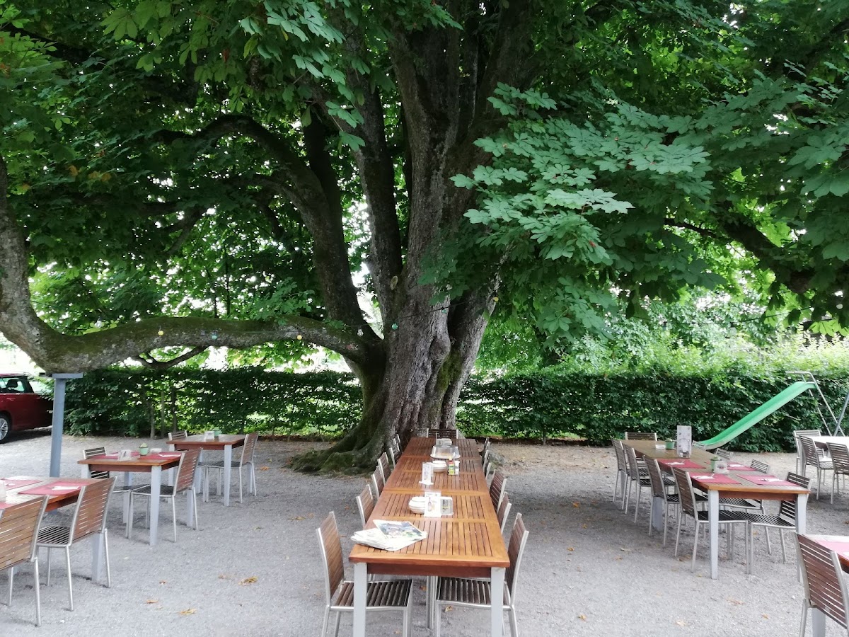 Restaurant Kastanienbaum