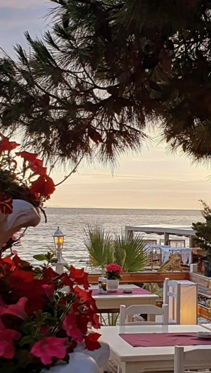 Restaurant La Petite-4