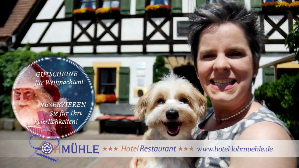 Restaurant Lohmühle-2