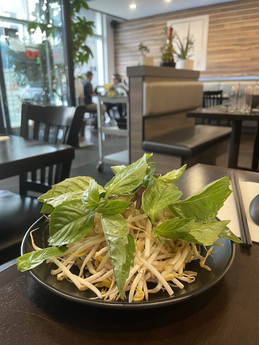 Restaurant Pho Mont Royal ( Apportez Votre Vin Byow )-4