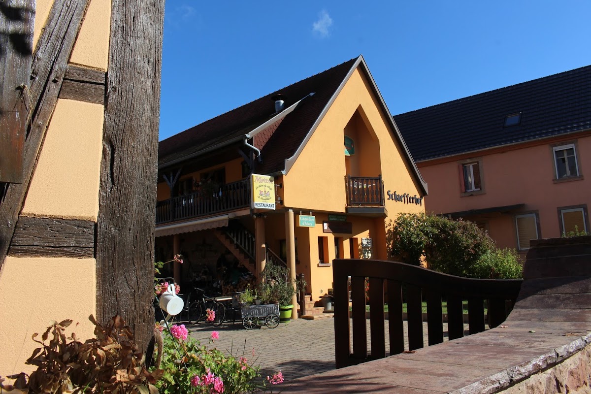 Restaurant Schaefferhof-3