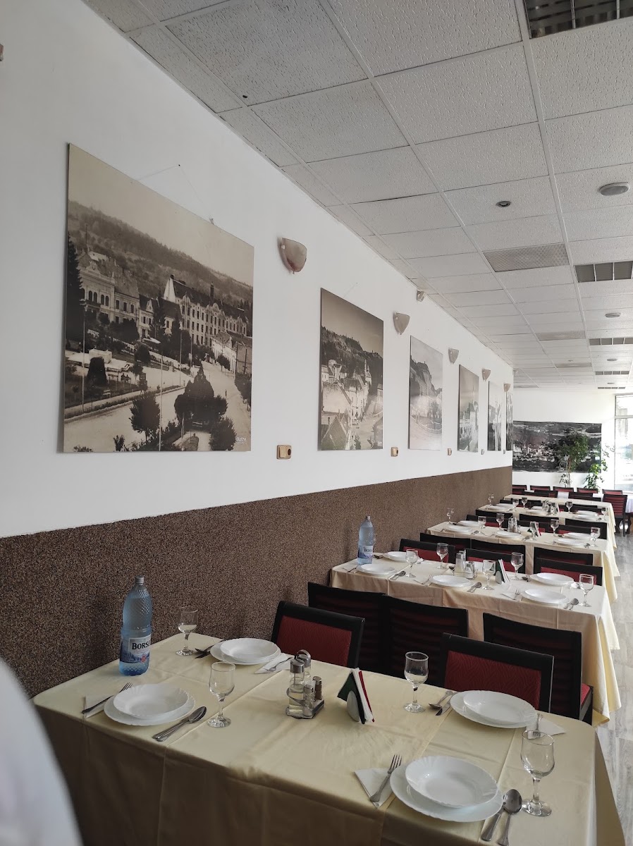 Restaurant Silvania - Tunyogi-2