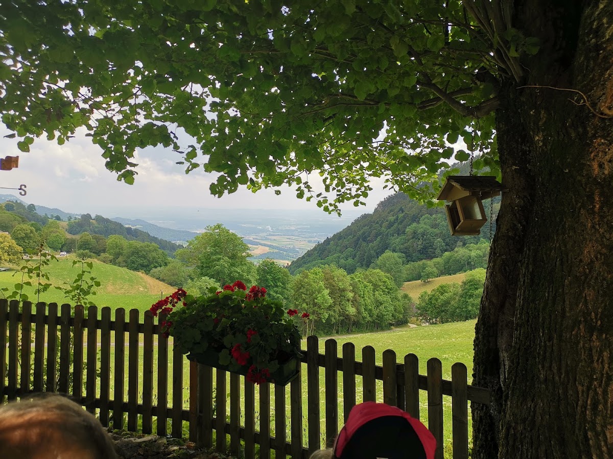 Restaurant Und Pension Mittlerer Balmberg-3