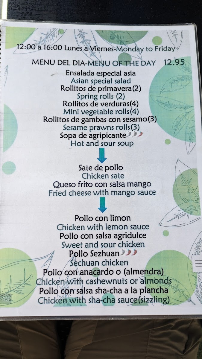 Menu Restaurante Asiático 'happy Garden'-7